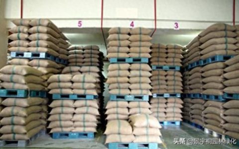 草种供应厂家排名前十(绿化草种厂家)
