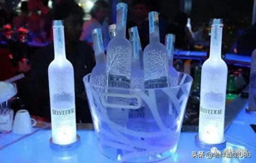 95度伏特加(伏特加)插图1