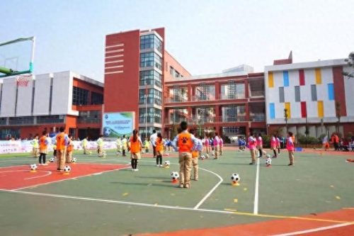 简阳小学排名前十(简阳十大镇排名)插图4
