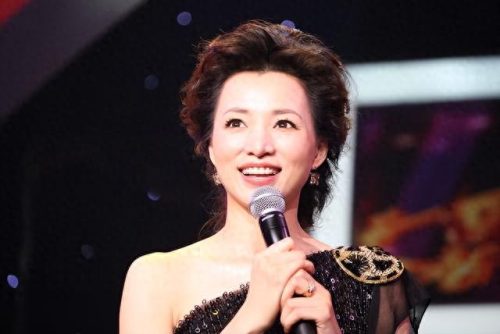 董卿是小三(董卿的孩子是陆毅的吗)插图17
