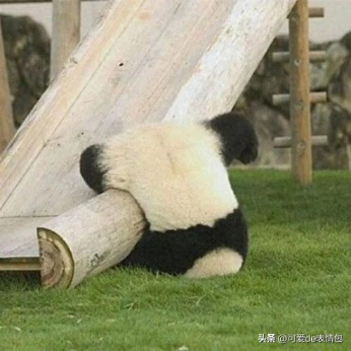 非主流图片制作(如何加工非主流图片)插图91