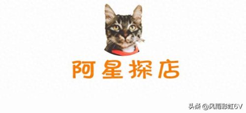 创业博主排名前十(炒股十大网红)插图4