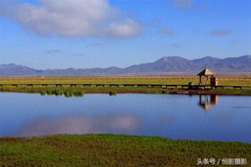 蓝蓝天青青草(青青柳叶蓝蓝天)插图13