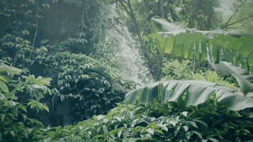 排名前十的琴酒(琴酒强度排行榜)插图1