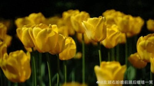 排名前十火的景点(新余景点排名前十)插图10