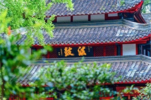 成都摄影排名前十(成都口碑最好的摄影店)插图20