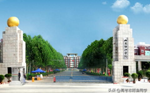 中医专业民办大学排名前十(中医专业民办大学排名)