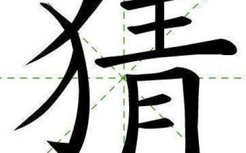 树有心眼西下美女手扶下巴答案(脑筋急转弯100题)