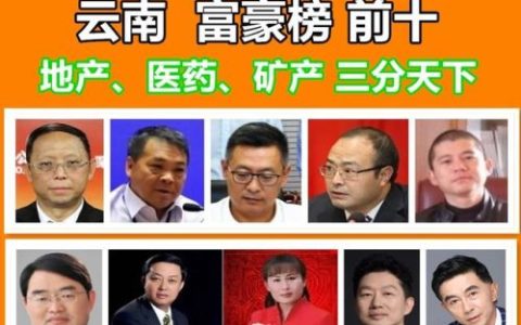 会泽上市企业排名前十(会泽公司注册十大排名)