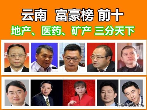 会泽上市企业排名前十(会泽公司注册十大排名)插图