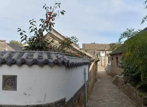 青岛乡村排名前十(最新青岛美丽乡村)插图8