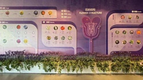 金昌烤全羊排名前十(烤一只全羊大概多少钱)插图4
