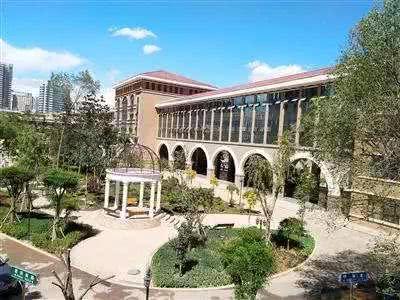 青海省共和县小学排名前十(青海重点小学前十名)插图6