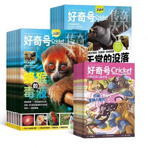 学生思维排名前十(学生十种思维方法)插图1