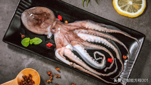 智商排名前十动物(十大动物聪明排名)插图6