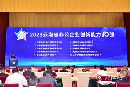 曲靖排名前十企业(曲靖龙头企业排名)插图5