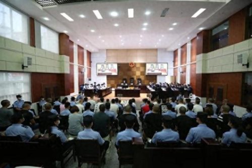 广元本地辩护律师排名前十(广元天称律师事务所)插图