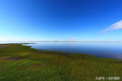蓝蓝天青青草(青青柳叶蓝蓝天)插图