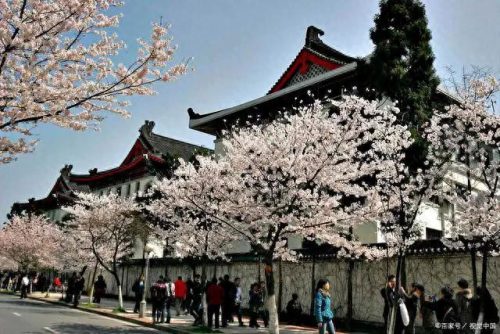 最美普通一本大学排名前十(中国最美重点大学排名前十)插图