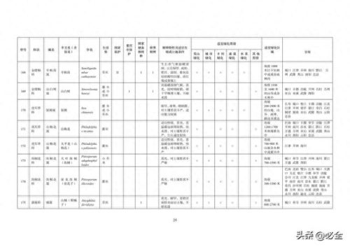 重庆市排名前十的树是哪些(镇宅十大吉树)插图30