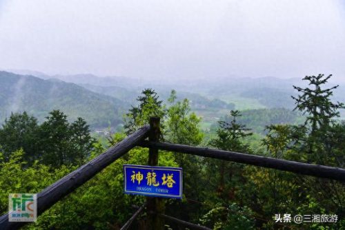 云雾庄园(逆水寒庄园云雾怎么不显示出来)插图13