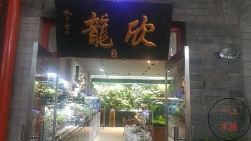 北京水族市场排名前十(大连水族市场排名)插图2