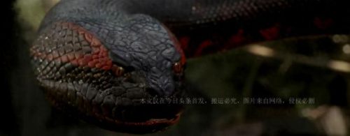 电影怪兽排名前十(怪兽电影大全免费观看)插图2