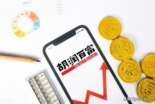 会泽上市企业排名前十(会泽公司注册十大排名)插图1