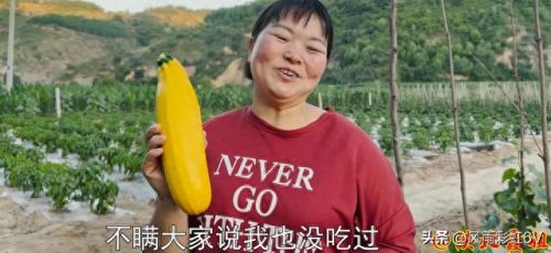 创业博主排名前十(炒股十大网红)插图7