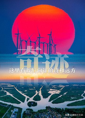 盐城水域排名前十(盐城市省内排名)插图4