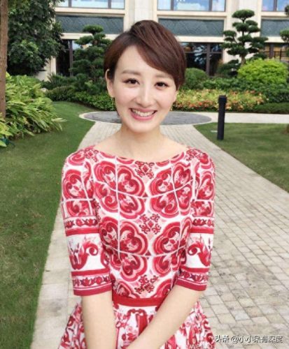 李好个人资料(李好郭晓敏近况)插图27