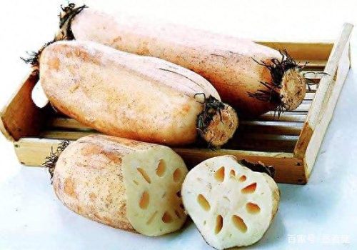 潜山素菜排名前十(素菜排名前十名)插图3