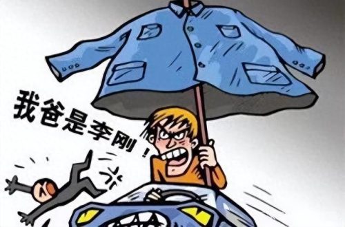 李刚岳父(李启铭父亲李刚央视采访)插图7