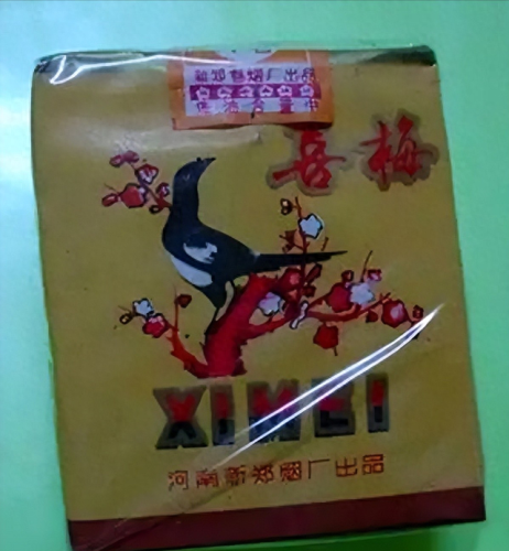 中国排名前十烟(中国最顶级的烟)插图162