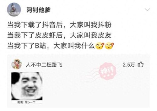 脑清新(修复大脑三大药)插图13