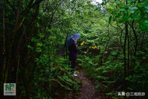 云雾庄园(逆水寒庄园云雾怎么不显示出来)插图10