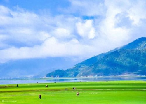 海南避暑排名前十(海南特色小吃排名前十)插图23