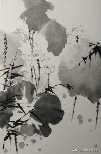 白腹凯克鹦鹉(凯克多少钱一只)插图11