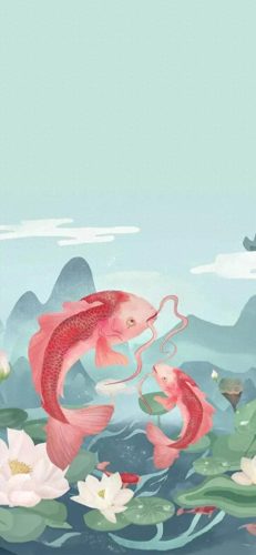 鱼鱼桌面秀(鱼鱼桌面秀侧边栏)插图86