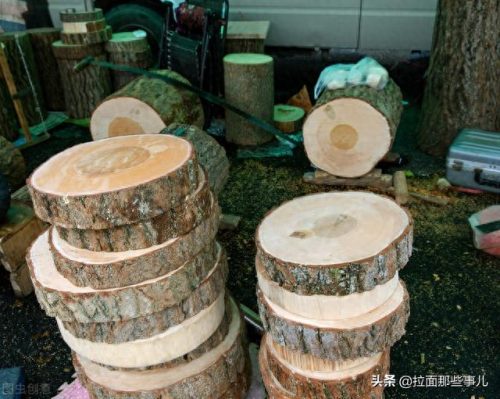 木头砧板排名前十(什么木头砧板最好)插图5