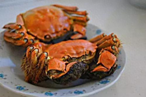 全国济宁排名前十(济宁十大高档别墅排名)插图25