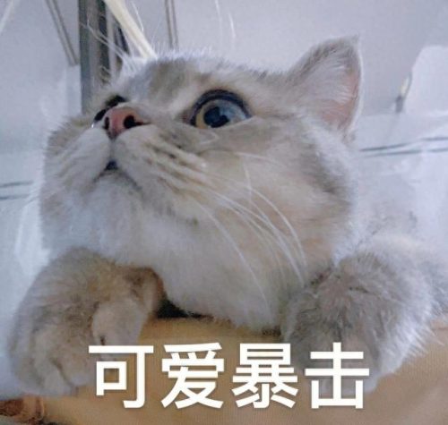 新疆话题排名前十(新疆所有湖泊排名)插图