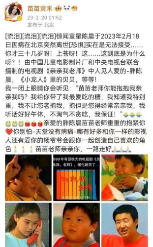 北京卫视主持人陈晨(陈晨个人简介)插图1