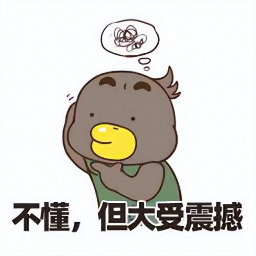 2008美国大选(2000年美国大选视频)插图10