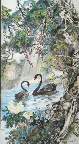 白腹凯克鹦鹉(凯克多少钱一只)插图2