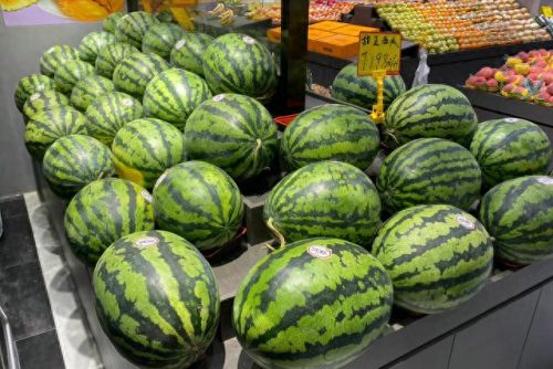 西瓜产量排名前十(西瓜产量十大国家)插图4
