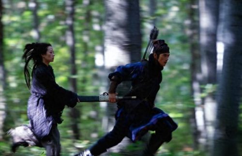 排名前十大武侠电影有哪些(中国的十大武侠电影排行榜)插图25