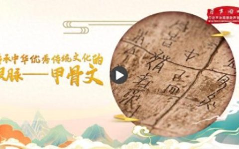 甲骨文写在什么上面(甲骨文写在什么的上面)