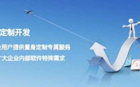 国内网络软件公司排名前十(全国软件公司排行榜)