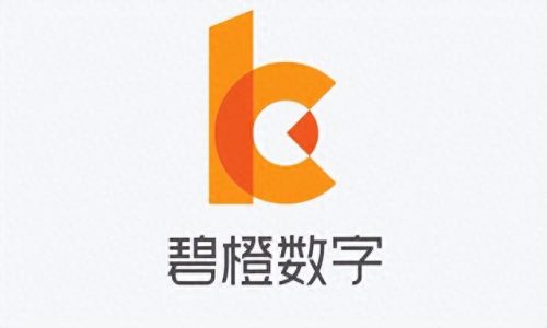 电商运营公司排名前十品牌(十大电商运营公司排名)插图7